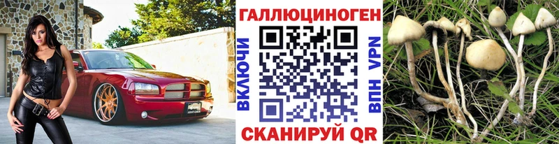 наркошоп  Пестово  Псилоцибиновые грибы прущие грибы 